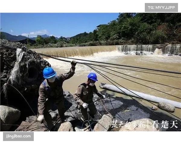 深圳外线火力复苏 团队防守成型助力排名稳步攀升